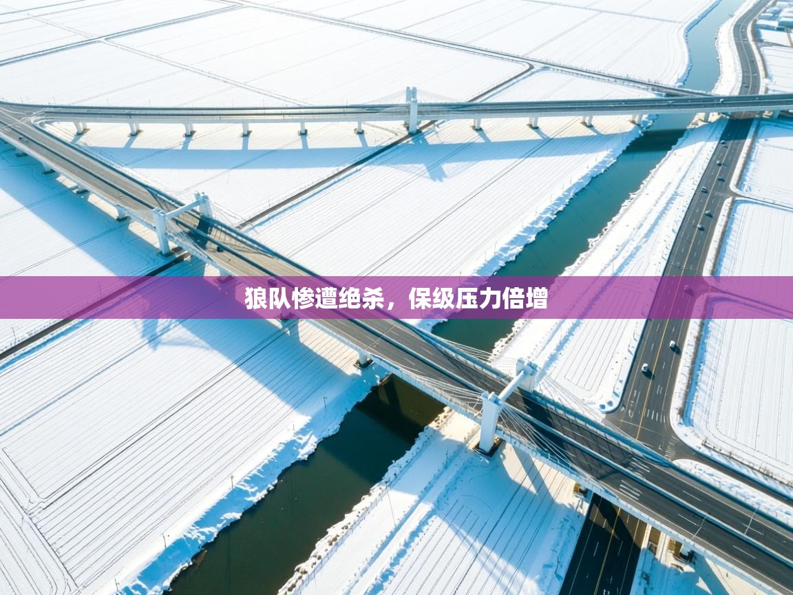 狼队惨遭绝杀,保级压力倍增 第1张