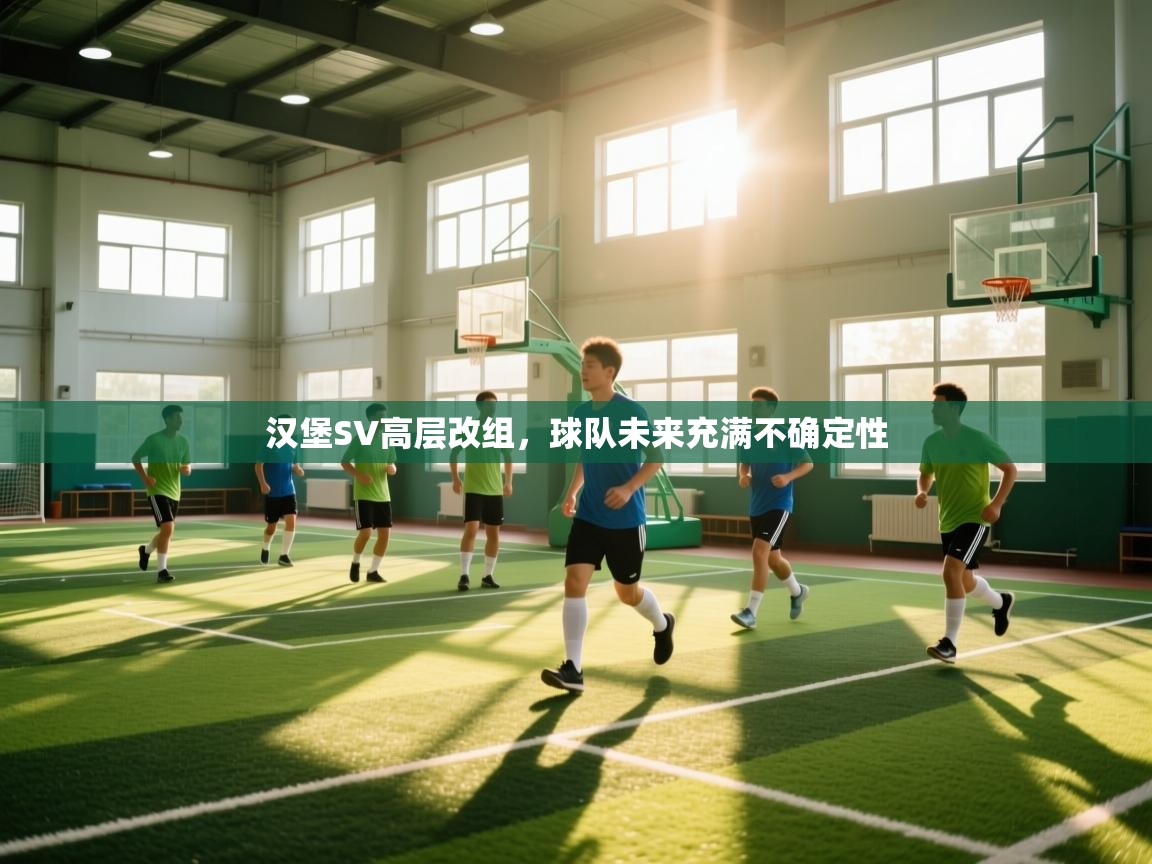 汉堡SV高层改组,球队未来充满不确定性 第1张