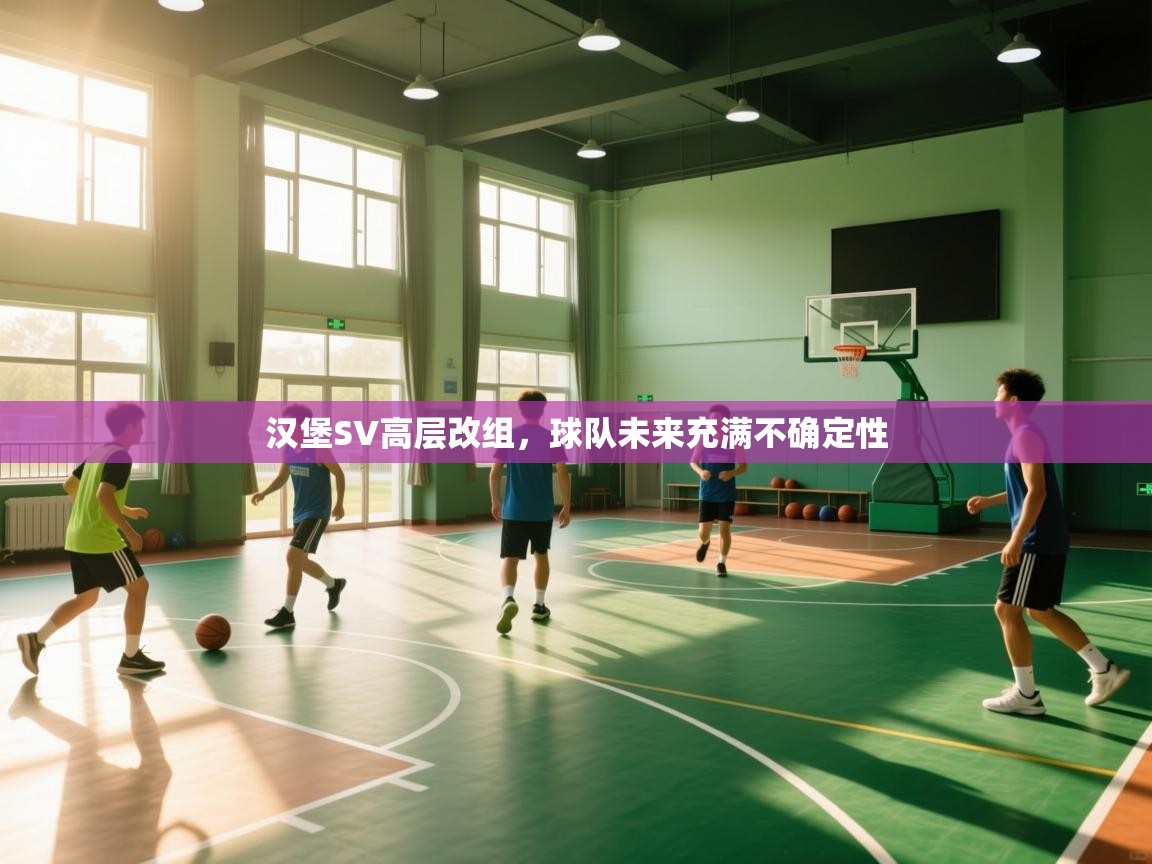 汉堡SV高层改组,球队未来充满不确定性 第2张